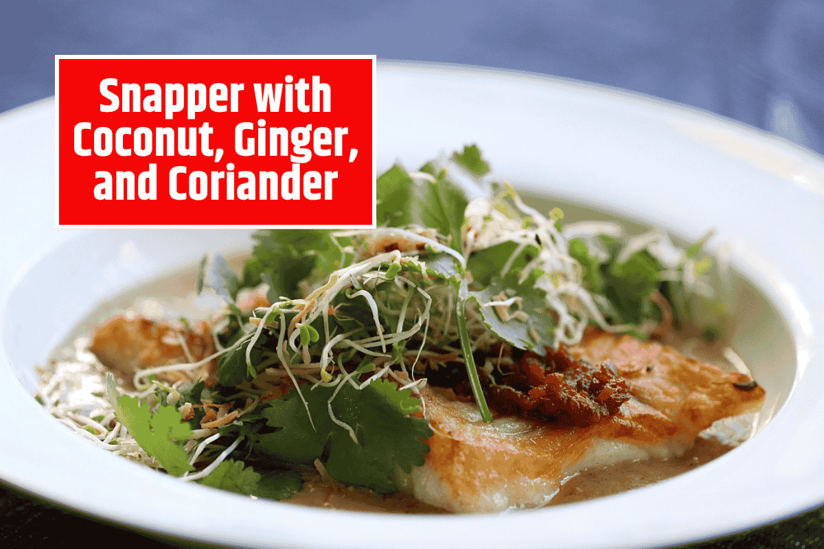 Snapper with Coconut, Ginger, and Coriander: A Fragrant and Healthy Seafood Dish
